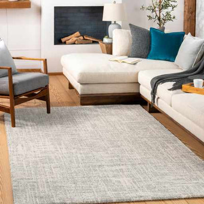 Contemporary Modern Abstract Gray and Beige Woven Rug - The Rug Decor