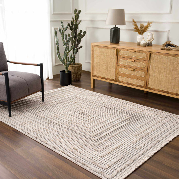 Contemporary Solid Stripes Peach, Beige and Gray High-Low Pile Area Rug - The Rug Decor