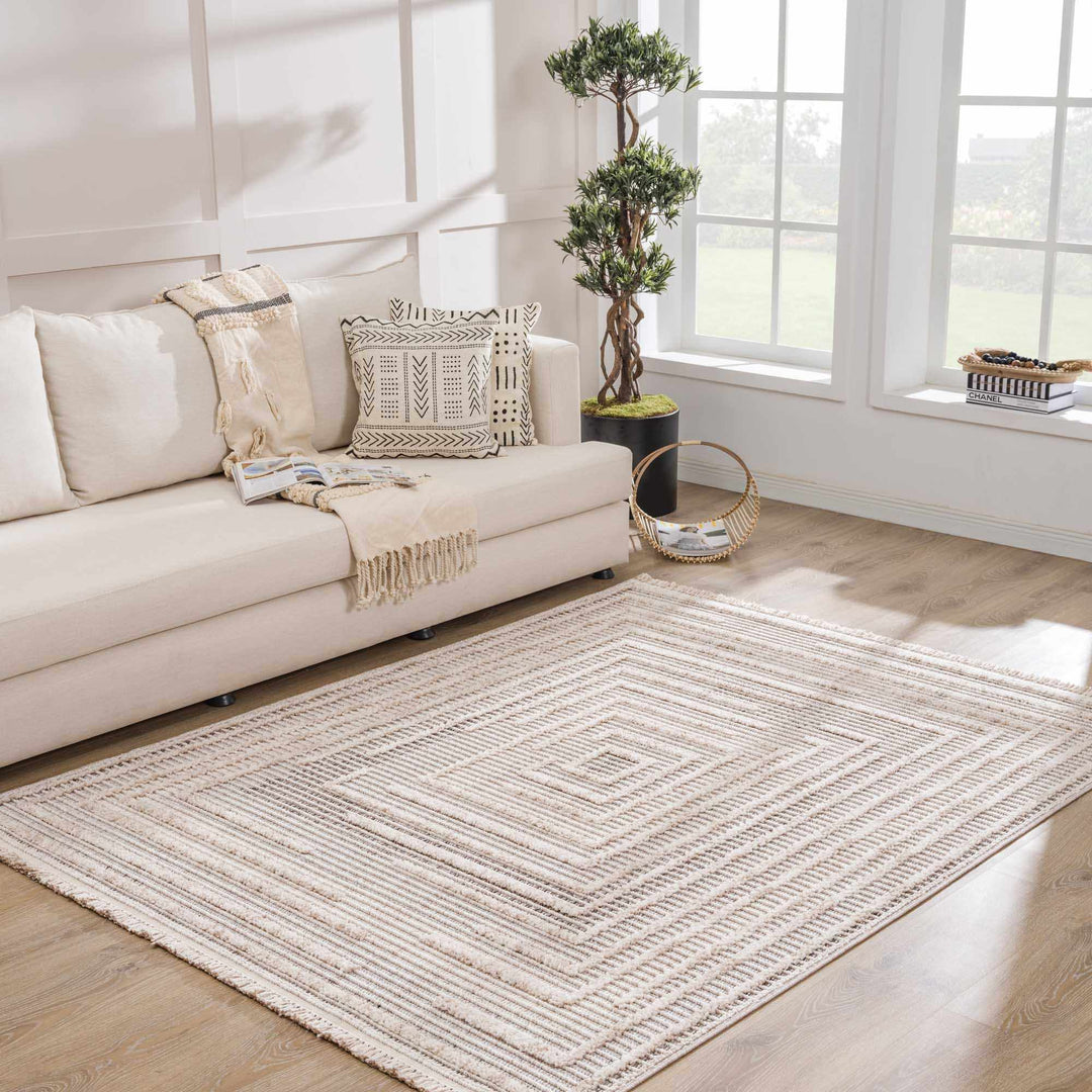 Contemporary Solid Stripes Peach, Beige and Gray High-Low Pile Area Rug - The Rug Decor