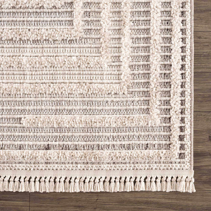 Contemporary Solid Stripes Peach, Beige and Gray High-Low Pile Area Rug - The Rug Decor
