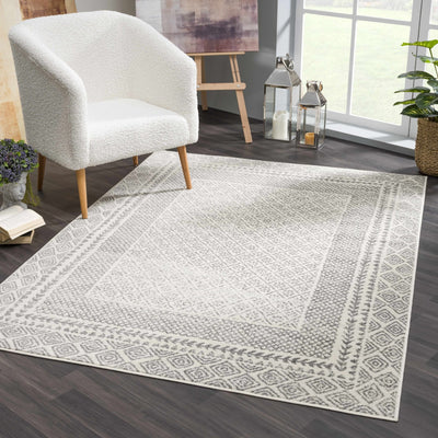 Contemporary Traditional Gray and Ivory Neutral Area Rug - The Rug Decor