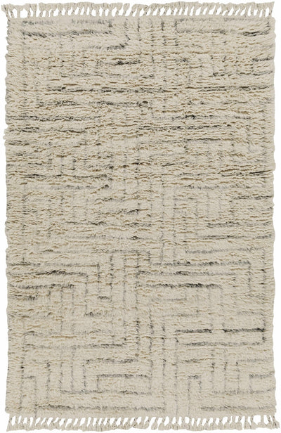 Hand Knotted Modern Contemporary Beige and Gray Plush Pile Wool Area Rug - The Rug Decor