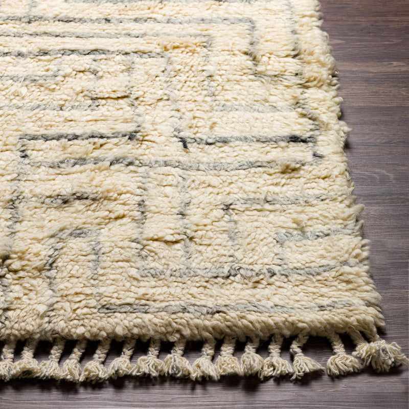 Hand Knotted Modern Contemporary Beige and Gray Plush Pile Wool Area Rug - The Rug Decor