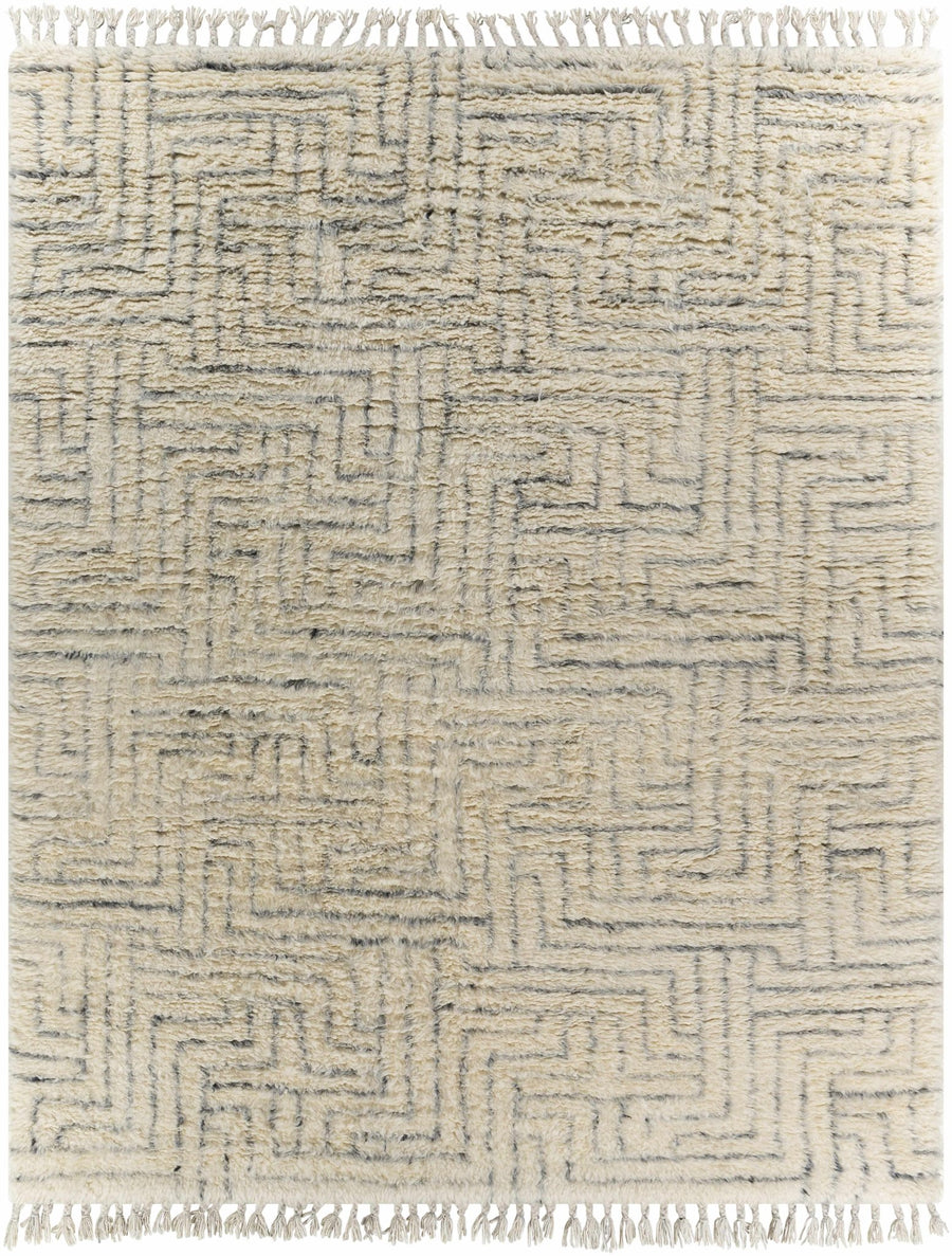 Hand Knotted Modern Contemporary Beige and Gray Plush Pile Wool Area Rug - The Rug Decor