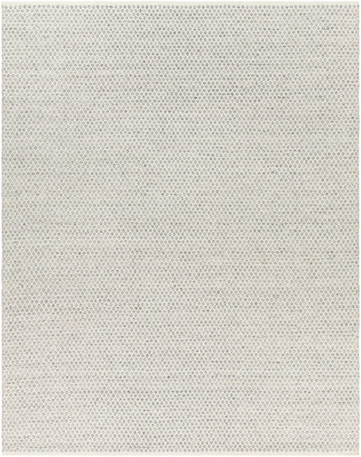 Hand Woven Modern Contemporary Geometrical Ivory and Light Blue Flatweave Area Rug - The Rug Decor