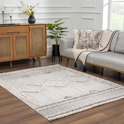 Ivory, Brown and charcoal Flatwoven Knit design Geometrical Carved Texture Area Rug - The Rug Decor