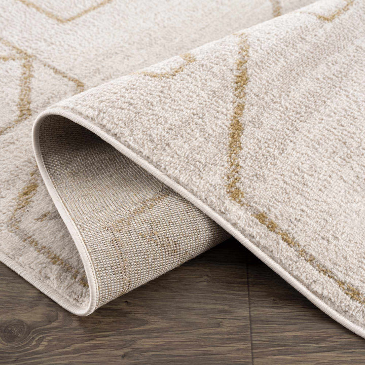 Light peach and Gold Tribal Design Contemporary Area Rug - The Rug Decor