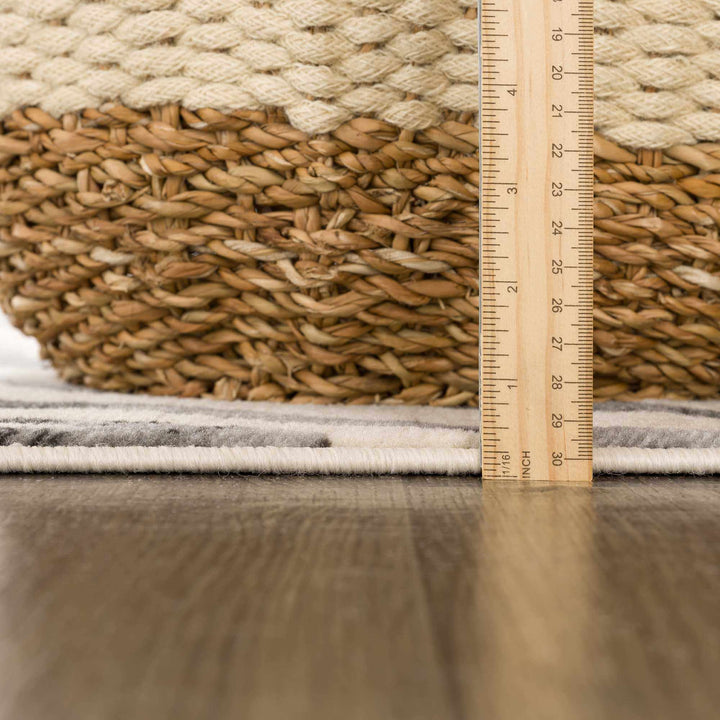 Modern Beige and Charcoal Zebra Print Area Rug - The Rug Decor