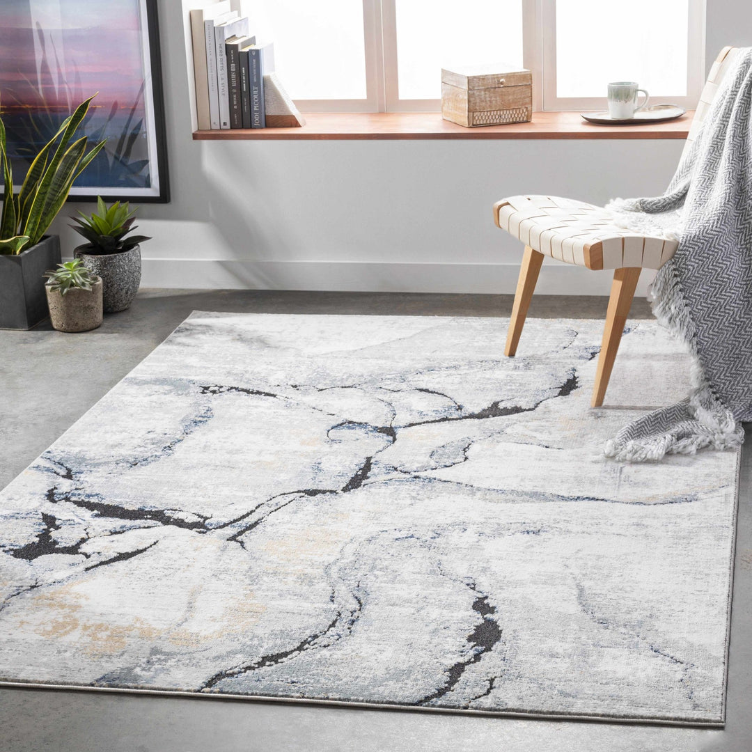 Modern Contemporary Abstract Silver, Charcoal and Gray Marble Design Rug - The Rug Decor