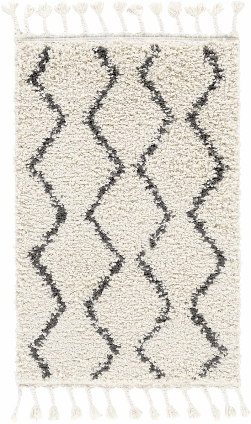 Modern Contemporary Beige and Charcoal Plush Pile Multi size Area Rug - The Rug Decor