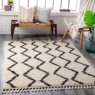 Modern Contemporary Beige and Charcoal Plush Pile Multi size Area Rug - The Rug Decor