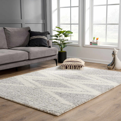 Modern Contemporary Beige and Gray Geometric Design Plush pile Area Rug - The Rug Decor