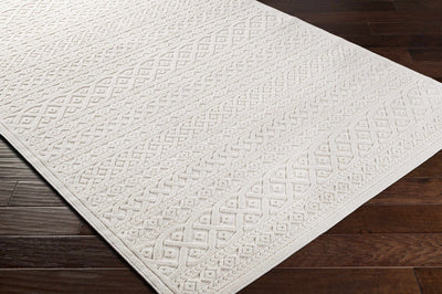 Modern Contemporary Beige Outdoor Safe High Low Pile Area Rug - The Rug Decor