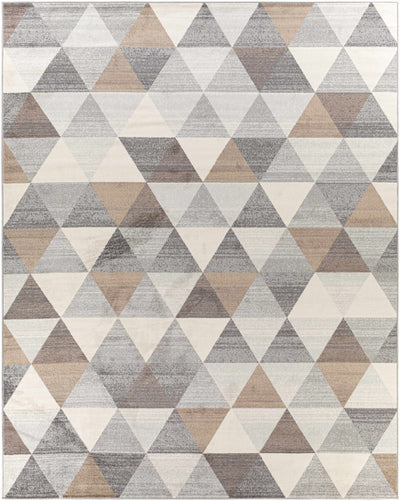 Modern Contemporary Geometric Brown, Beige and Gray Medium pile Area rug - The Rug Decor
