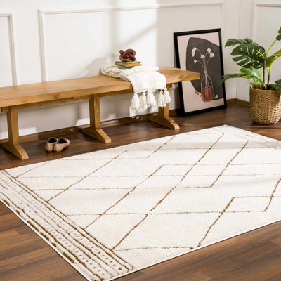 Modern Geometric rose cream, Brown Machine woven woolen area rug - The Rug Decor