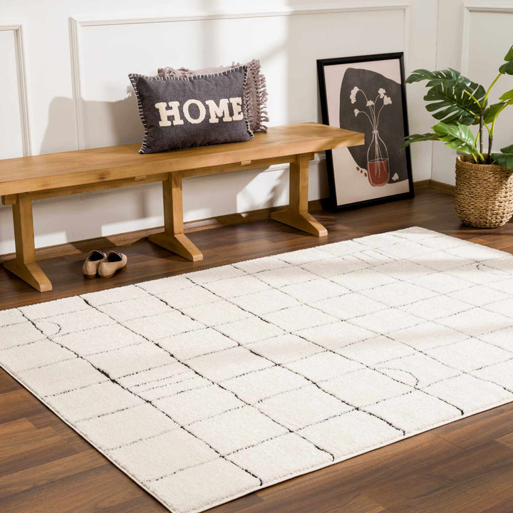 Modern Geometrical Beige and Black High Pile Area Rug - The Rug Decor