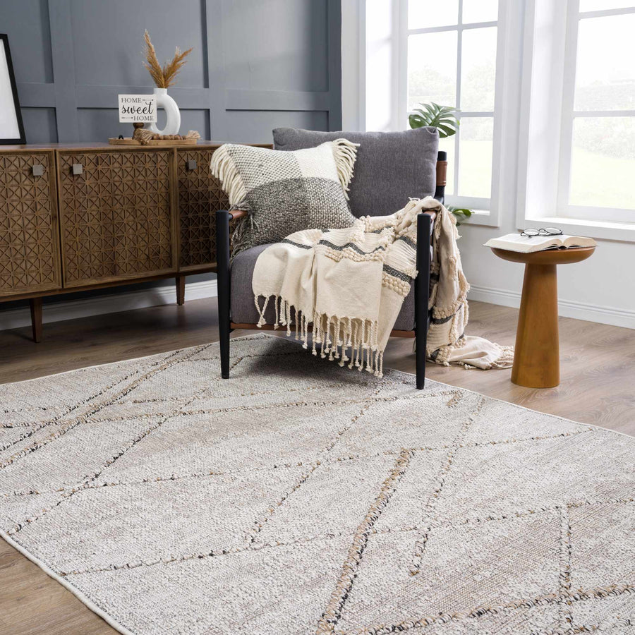 Modern Geometrical Contemporary Beige Outdoor Safe Area Rug - The Rug Decor