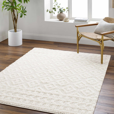 Modern Geometrical Texture Ivory Plush Pile Moroccan Style Area Rug - The Rug Decor