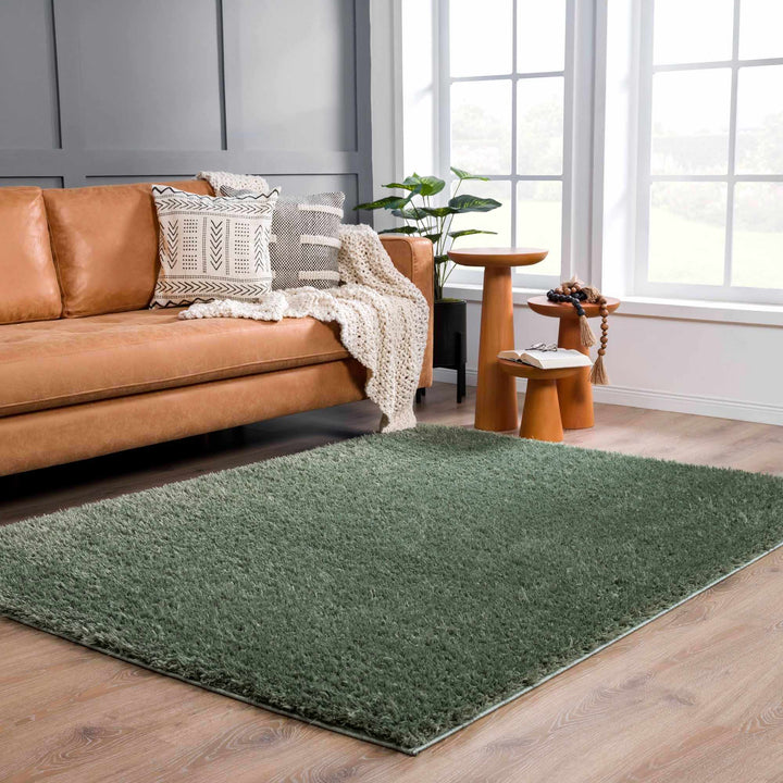 Modern Solid Dark Olive green Woven Plush Shag Rug – The Rug Decor