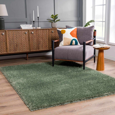 Modern Solid Dark Olive green Woven Plush area rug - The Rug Decor