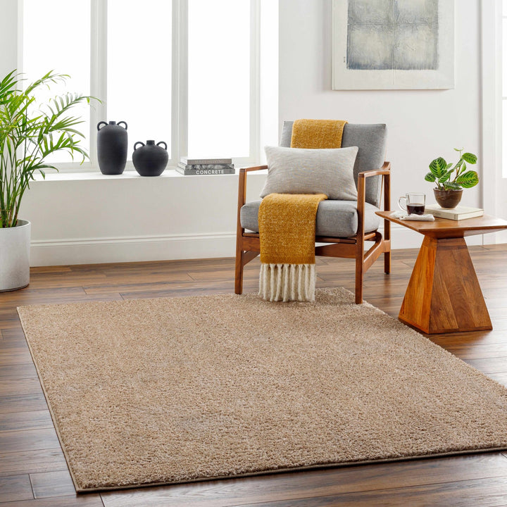 Modern Solid Design Brown High Pile Washable Area Rug - The Rug Decor