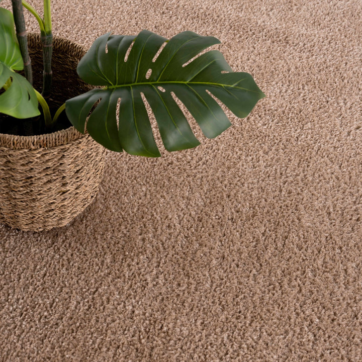 Modern Solid Design Brown High Pile Washable Area Rug - The Rug Decor