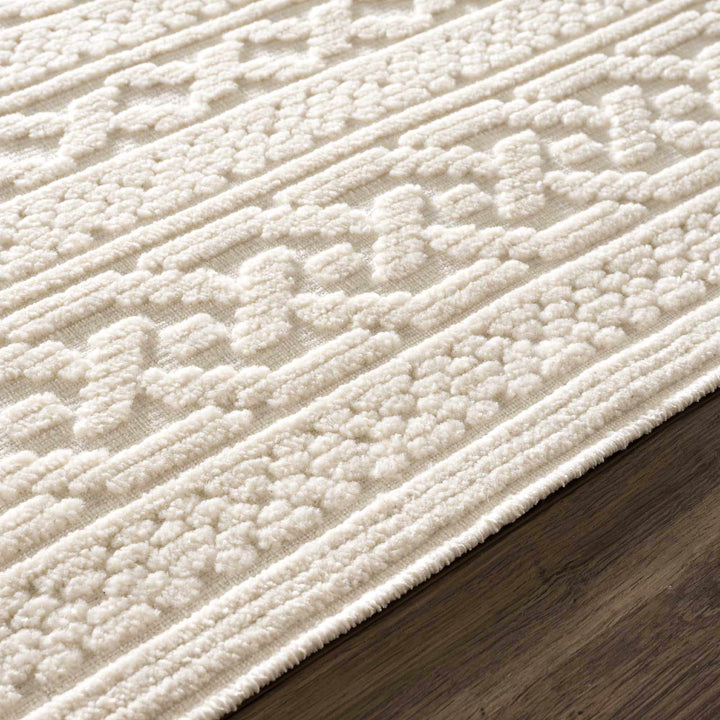 Premium look Ivory Carved Texture Tassel Design Washable area Rug - The Rug Decor