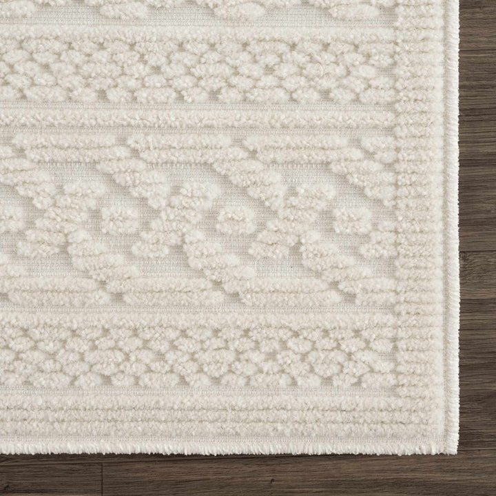 Premium look Ivory Carved Texture Tassel Design Washable area Rug - The Rug Decor
