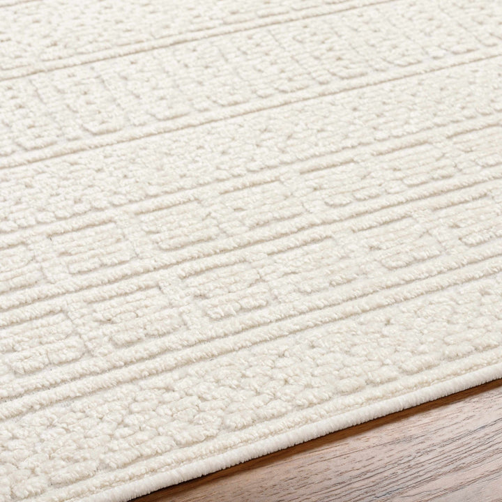 Premium look Machine Woven Carved Pattern Solid Beige Machine Washable Rug - The Rug Decor