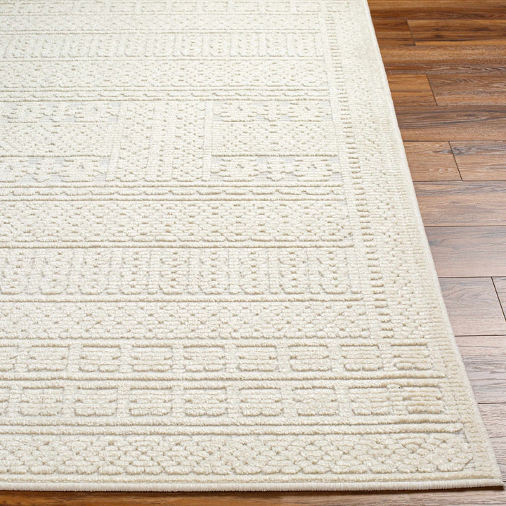 Premium look Machine Woven Carved Pattern Solid Beige Machine Washable Rug - The Rug Decor
