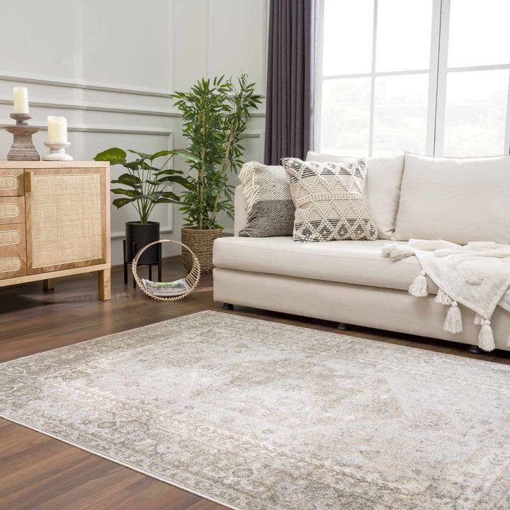 Silver, Gray and Brown Machine woven Traditional Machine washable area Rug - The Rug Decor