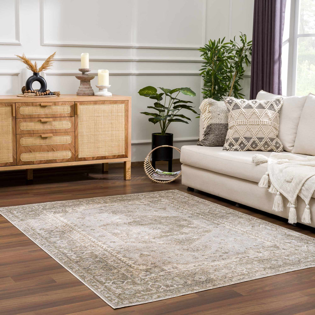 Silver, Gray and Brown Machine woven Traditional Machine washable area Rug - The Rug Decor