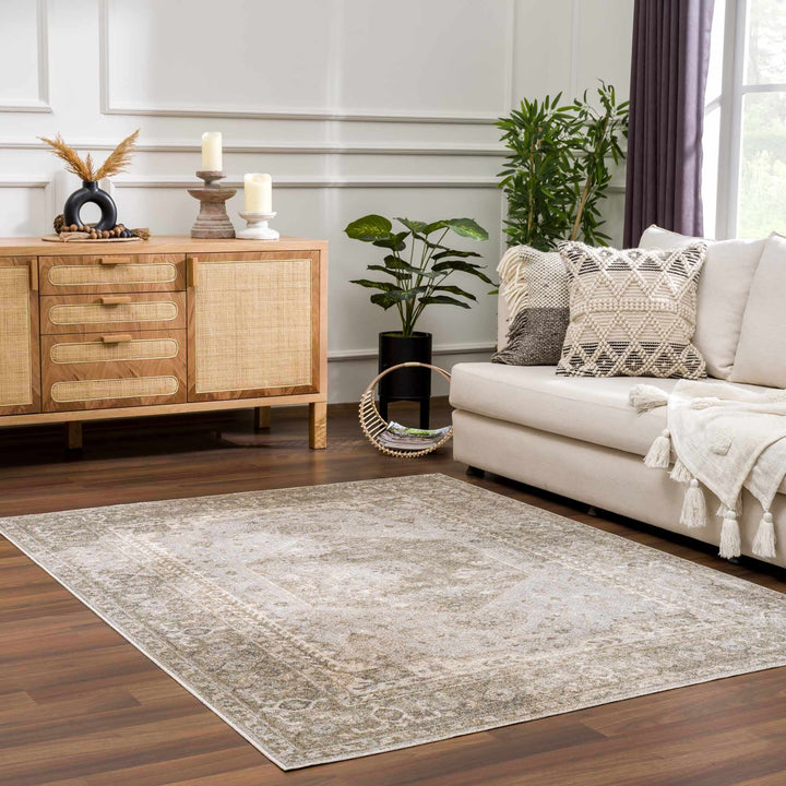 Silver, Gray and Brown Machine woven Traditional Machine washable area Rug - The Rug Decor