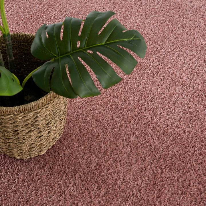 Solid Pink Peach Plush Pile contemporary Style Area Rug - The Rug Decor