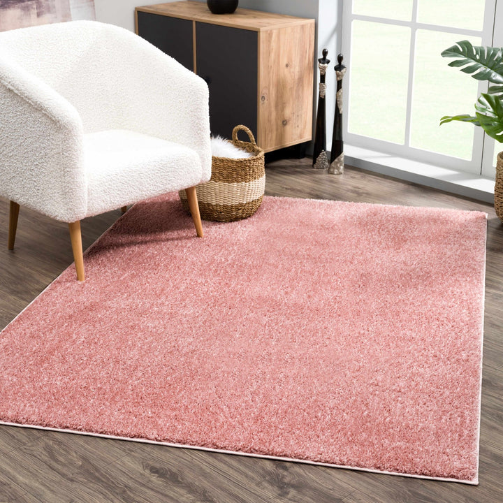 Solid Pink Peach Plush Pile contemporary Style Area Rug - The Rug Decor