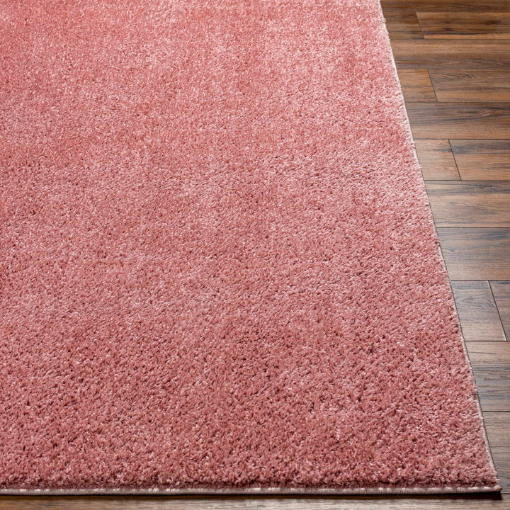 Solid Pink Peach Plush Pile contemporary Style Area Rug - The Rug Decor