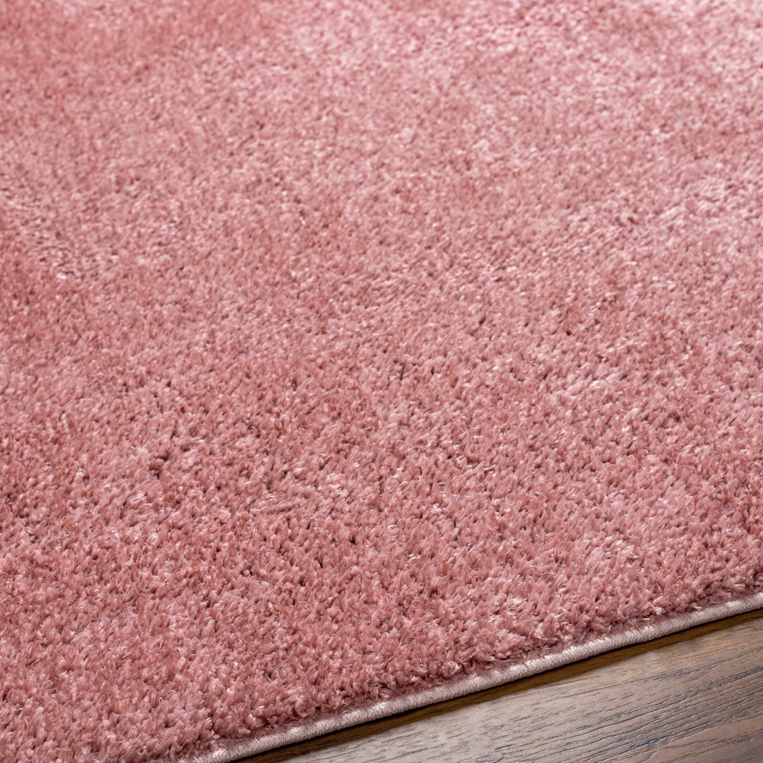 Solid Pink Peach Plush Pile contemporary Style Area Rug - The Rug Decor