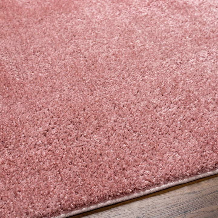Solid Pink Peach Plush Pile contemporary Style Area Rug - The Rug Decor