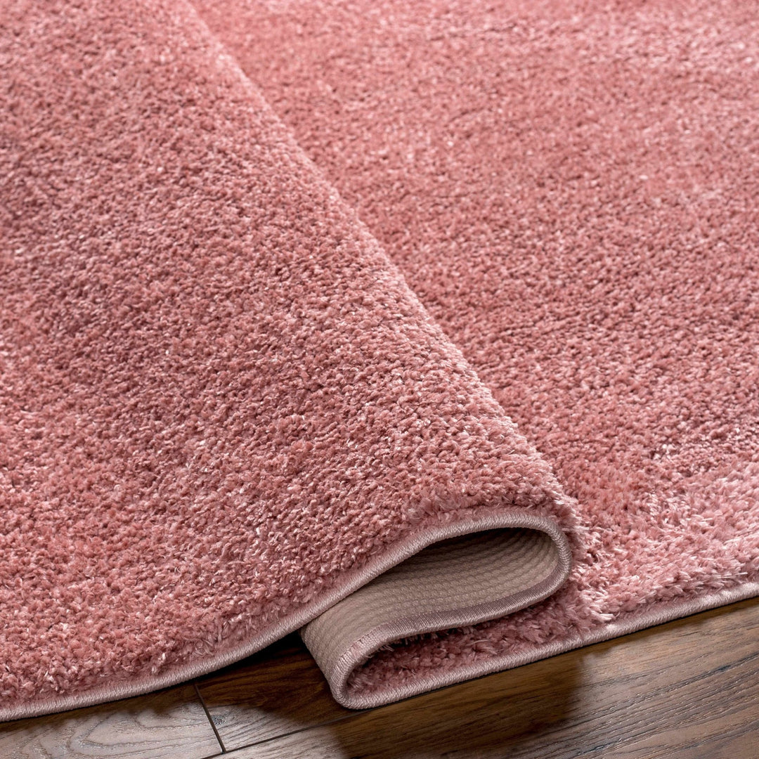 Solid Pink Peach Plush Pile contemporary Style Area Rug - The Rug Decor