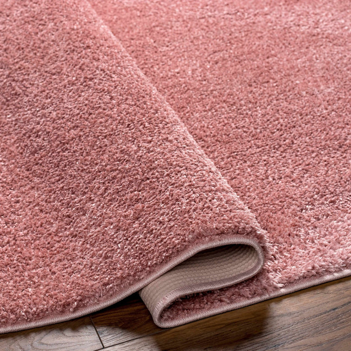 Solid Pink Peach Plush Pile contemporary Style Area Rug - The Rug Decor