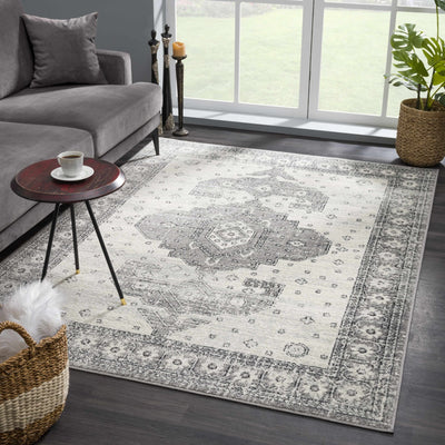 Traditional Beige and Gray Low Pile Indoor Area Rug - The Rug Decor