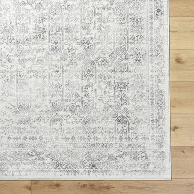 Traditional Beige ang Gray Medium Pile Multi Size Area Rug - The Rug Decor