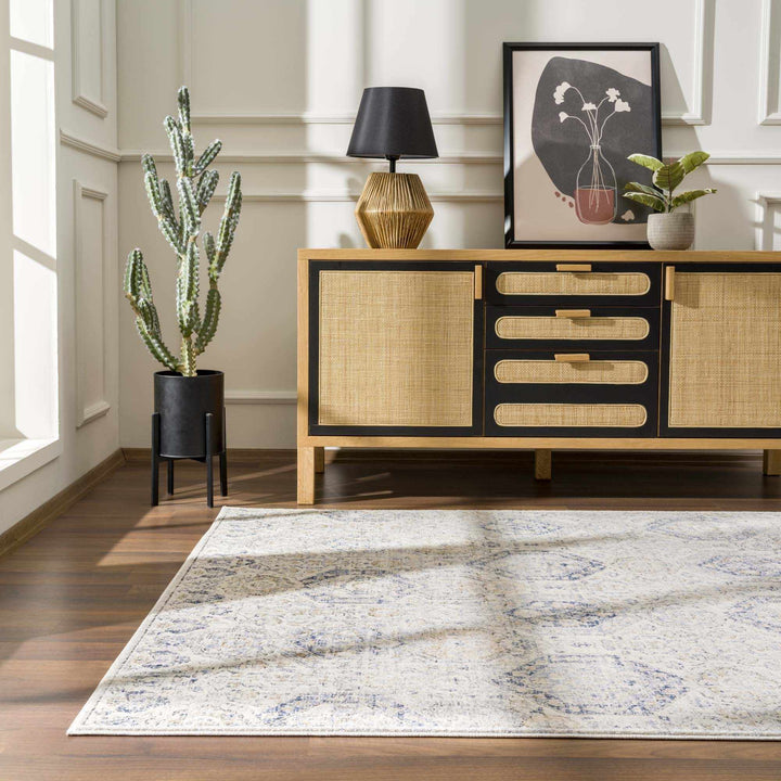 Traditional Blue and Beige Multi color Medium Pile Area Rug - The Rug Decor