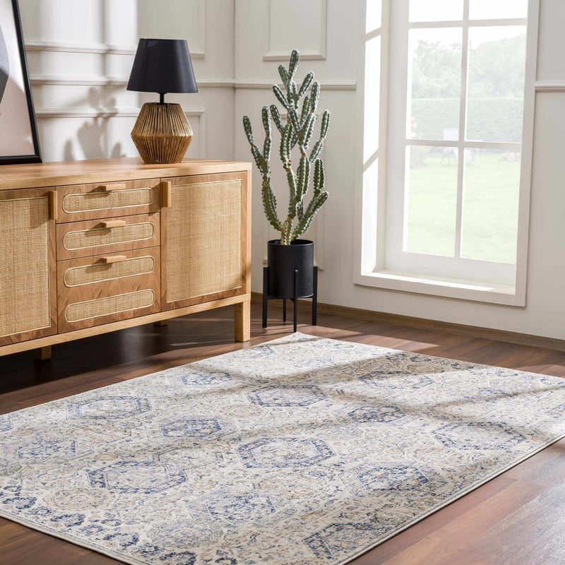 Traditional Blue and Beige Multi color Medium Pile Area Rug - The Rug Decor