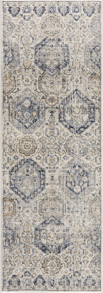 Traditional Blue and Beige Multi color Medium Pile Area Rug - The Rug Decor