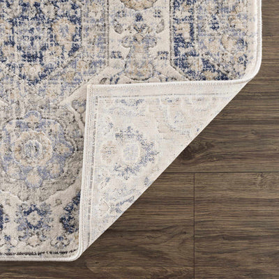 Traditional Blue and Beige Multi color Medium Pile Area Rug - The Rug Decor