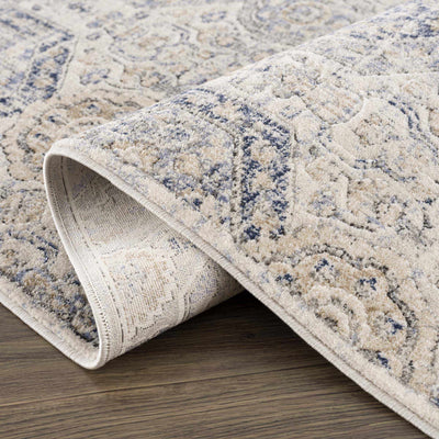 Traditional Blue and Beige Multi color Medium Pile Area Rug - The Rug Decor