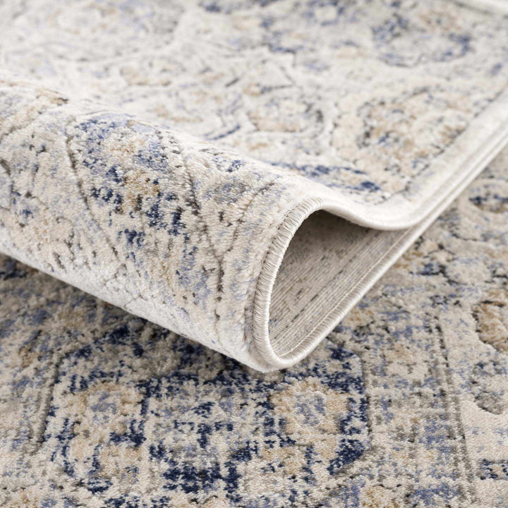 Traditional Blue and Beige Multi color Medium Pile Area Rug - The Rug Decor