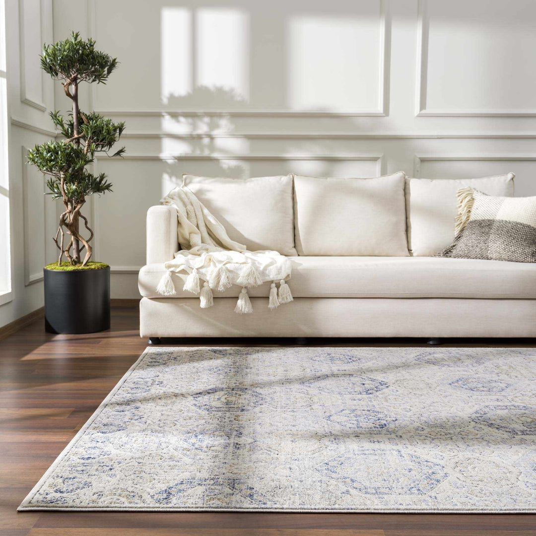 Traditional Blue and Beige Multi color Medium Pile Area Rug - The Rug Decor