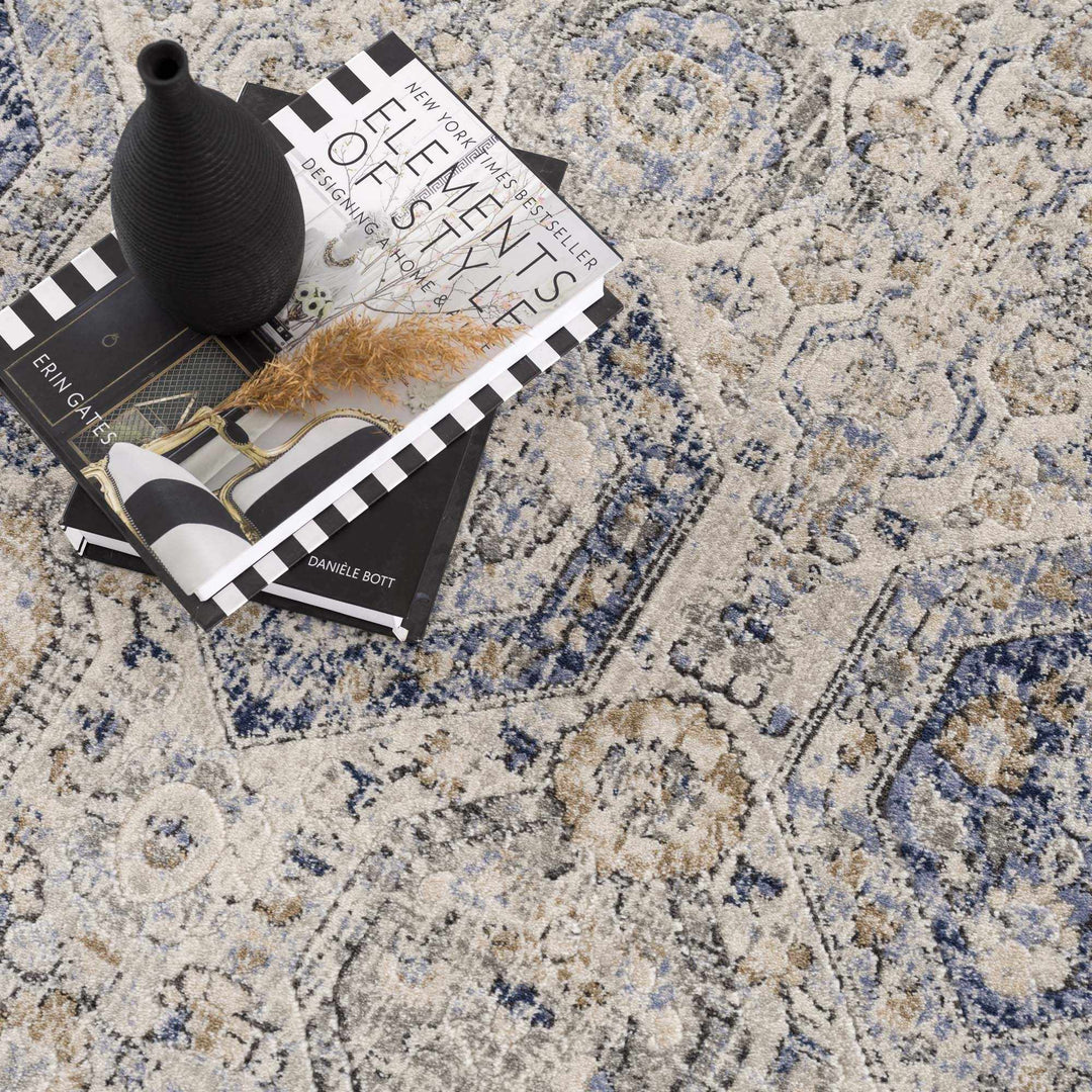 Traditional Blue and Beige Multi color Medium Pile Area Rug - The Rug Decor